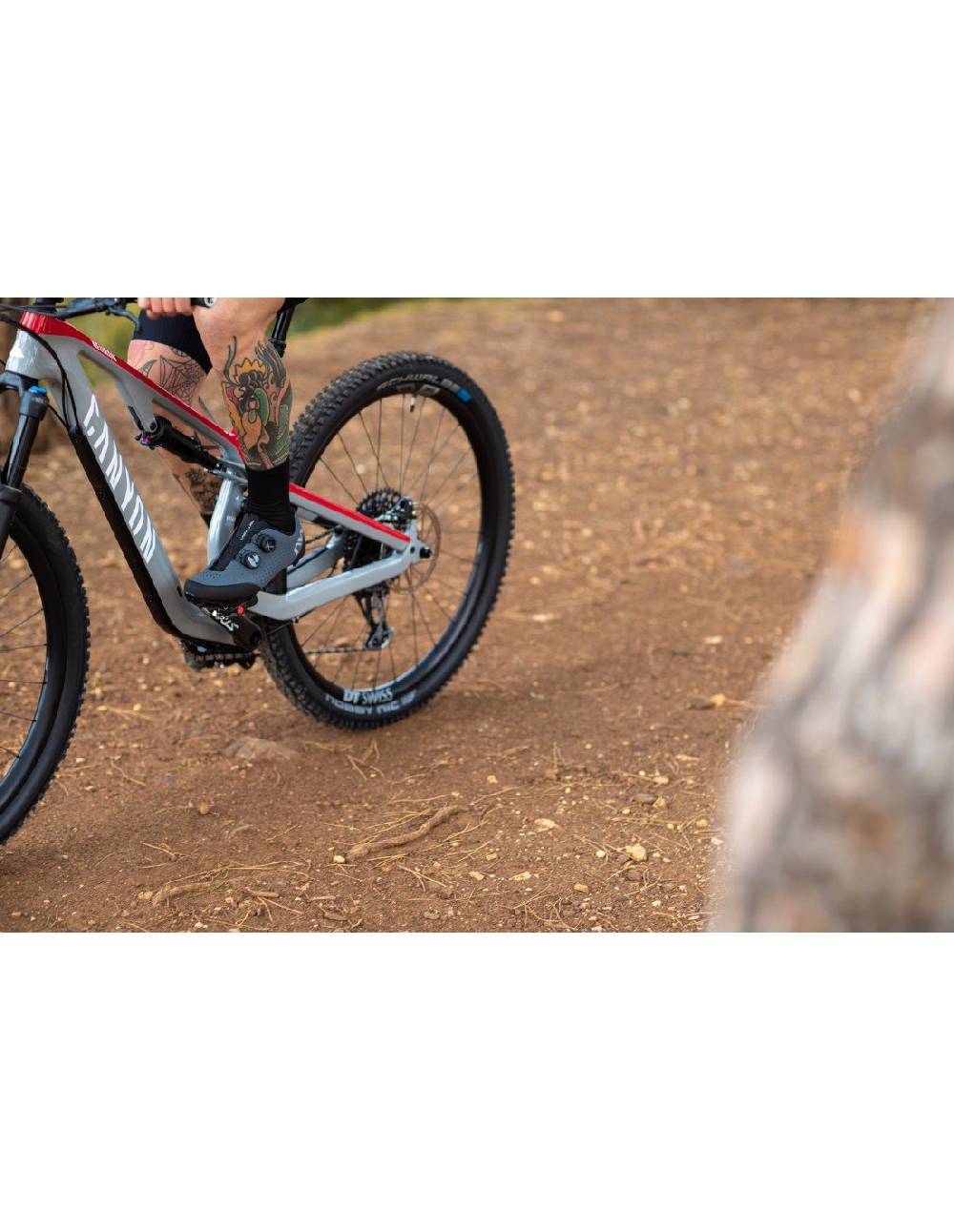 Northwave REBEL 3 Shopping Online