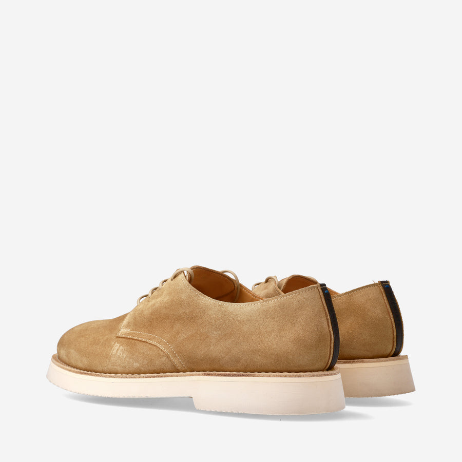 Premiata Stringate in suede 32115L Negozio