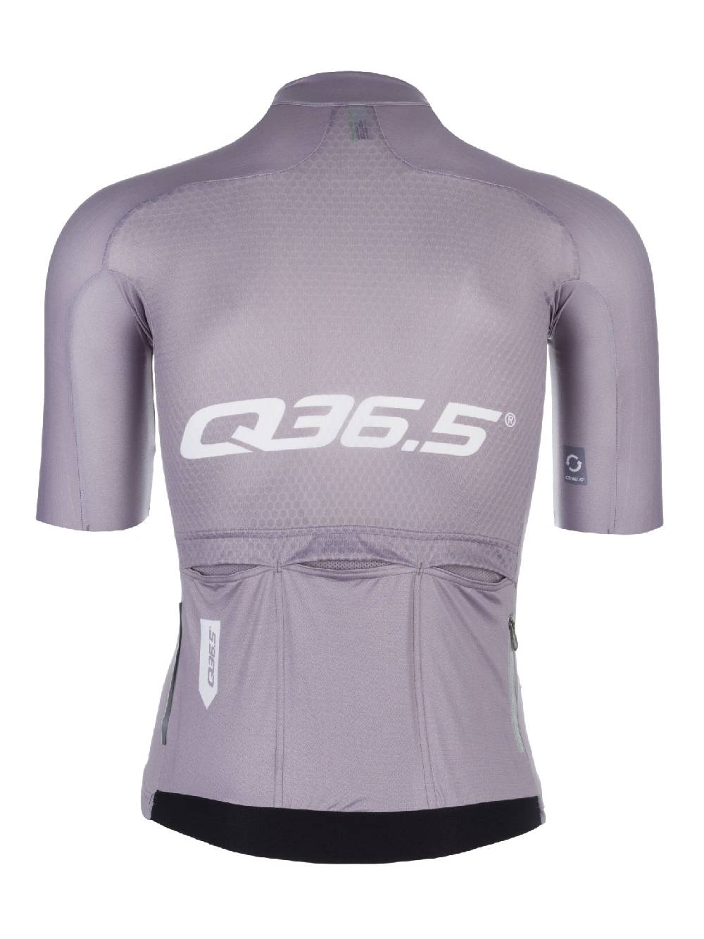 Q36.5 Gregarius Pro Signature Maglia Grigio Titanio 2025