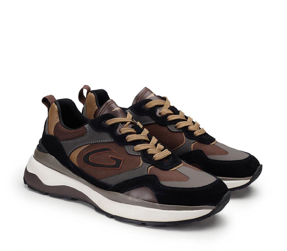Alberto Guardiani VIRGIN 318501 Promozione Limitata